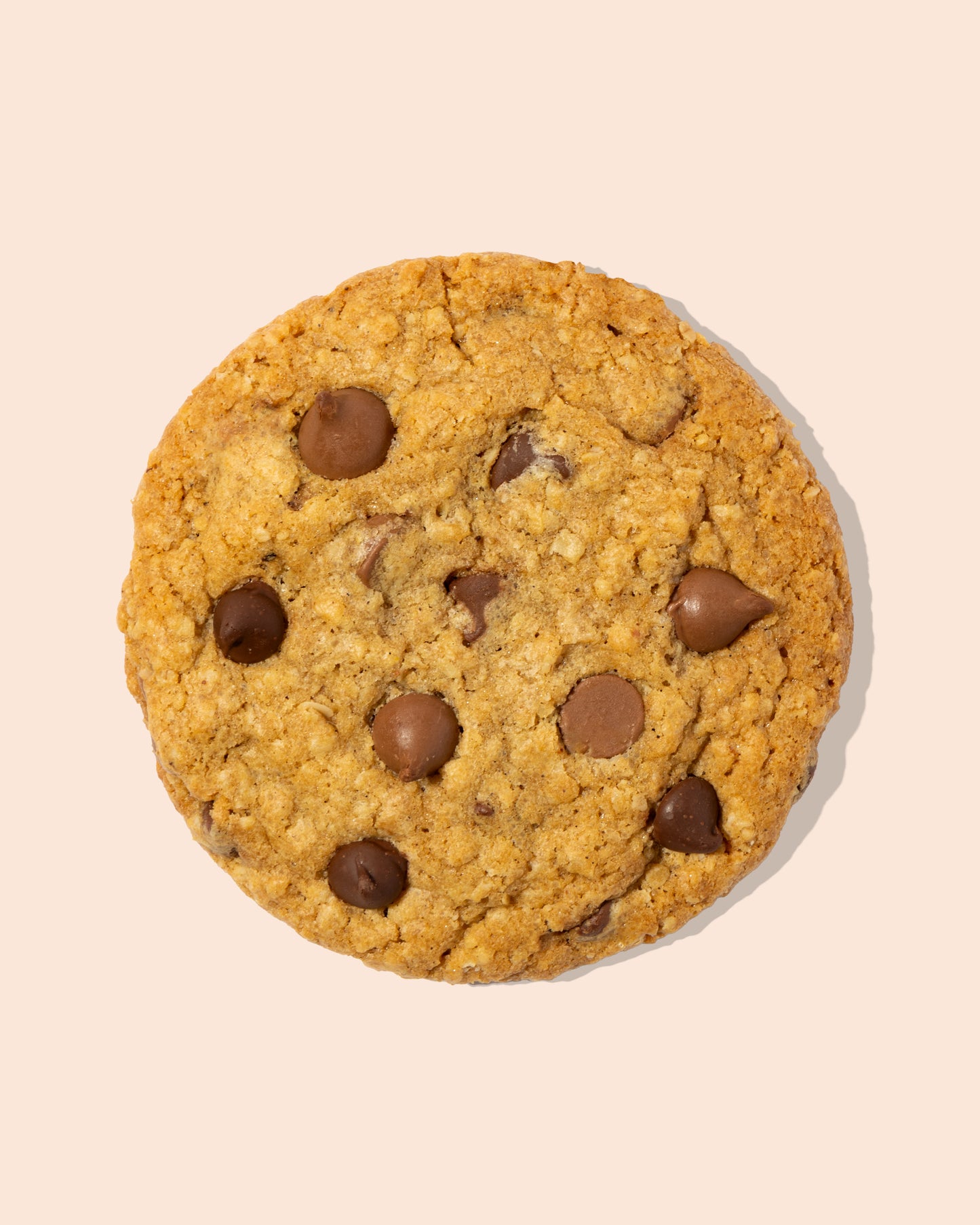 🎄 Limited Edition: Holiday 8-Pack Gift Box 🎁